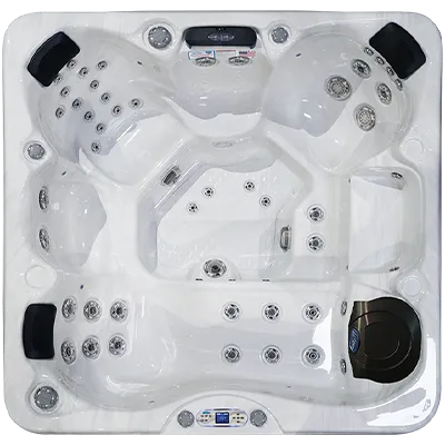 Avalon EC-849L hot tubs for sale in Los Angeles