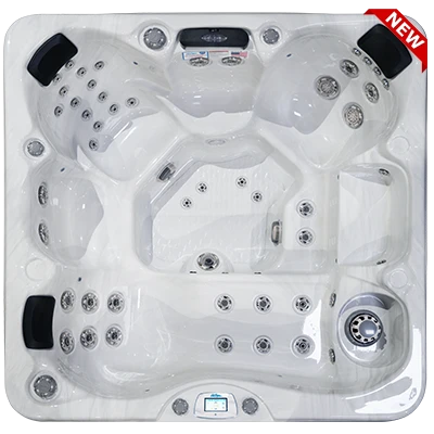 Avalon-X EC-849LX hot tubs for sale in Los Angeles
