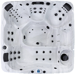 Avalon EC-867L hot tubs for sale in hot tubs spas for sale Los Angeles